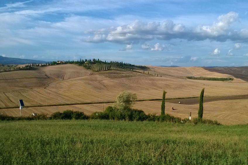 Wohnung mit Garten und oberirdischem Pool - foto 10