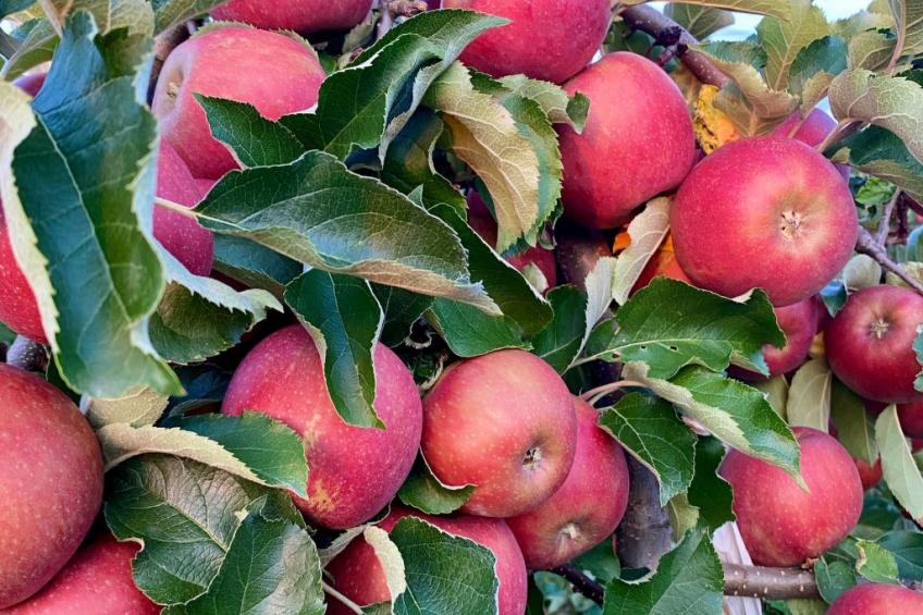 BLICKinsGRUEN - foto 57