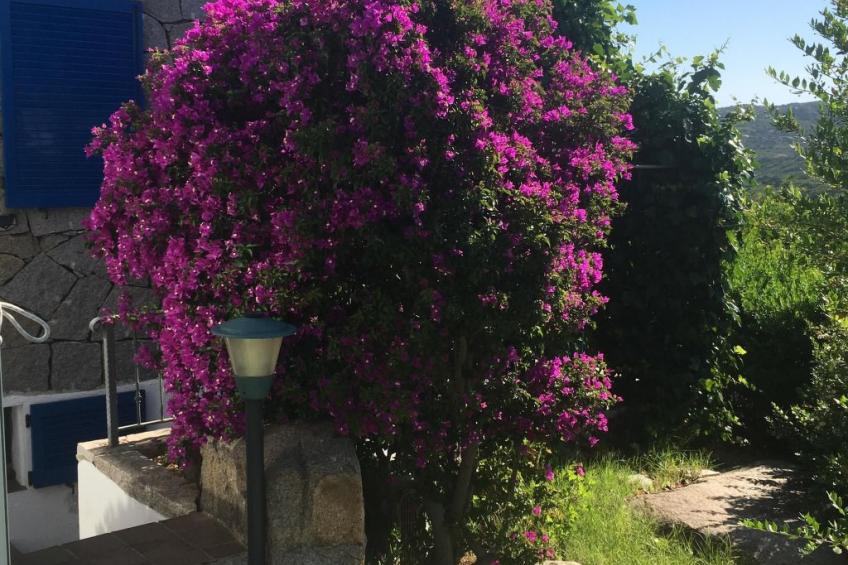 La Loggia mit privatem Pool - foto 17