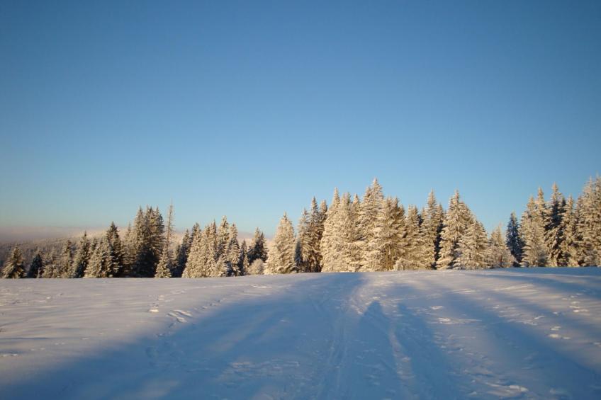 Seitz 2 in Bayerisch Eisenstein - foto 39