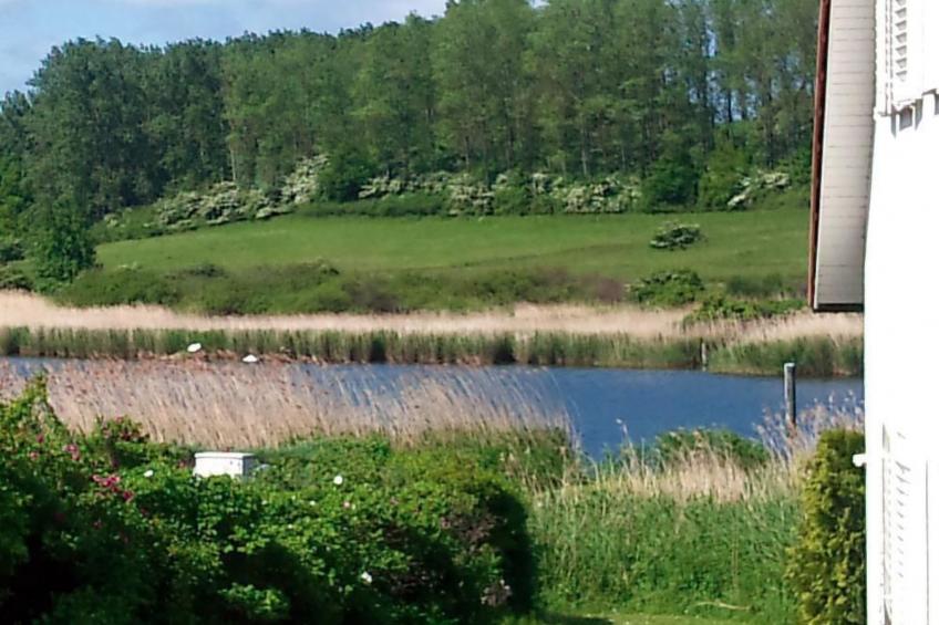 Boddenkiek Seedorf - foto 3