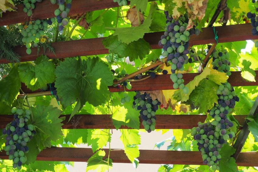 Art House Rovinj-Holiday - foto 39