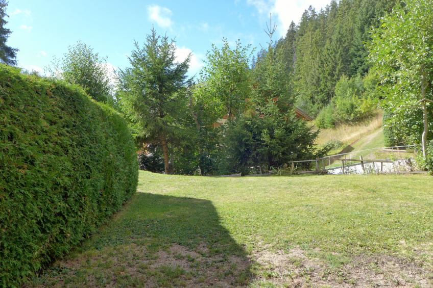 Le Torrent - foto 22