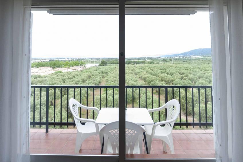 1141 MAS OLIVA con Piscina - foto 20