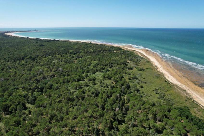 Rêve d'île - foto 30