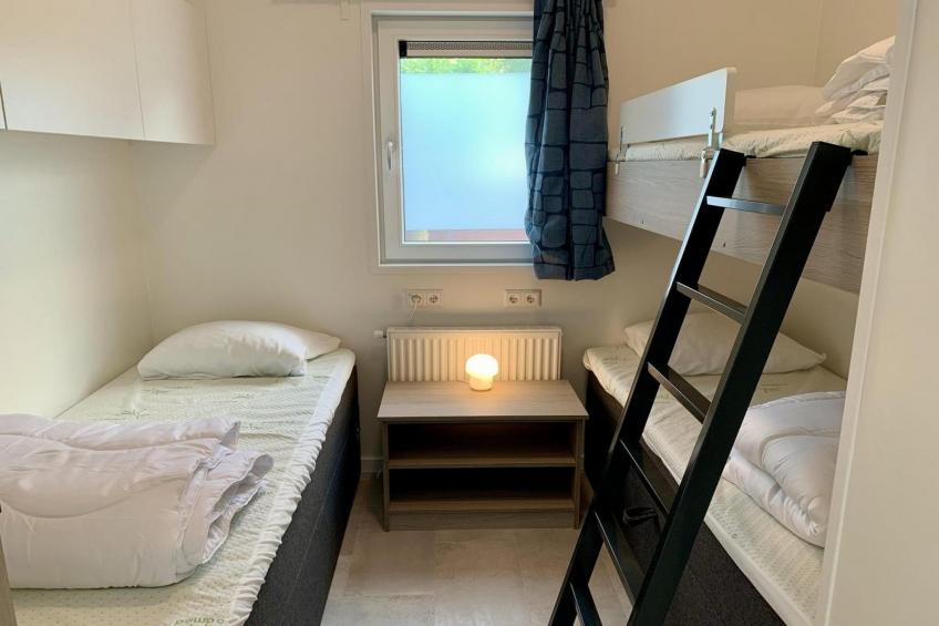 Campanula 136 - foto 28