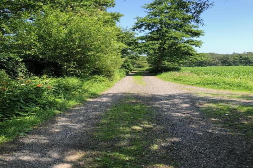 Casteeldoorn - foto 20