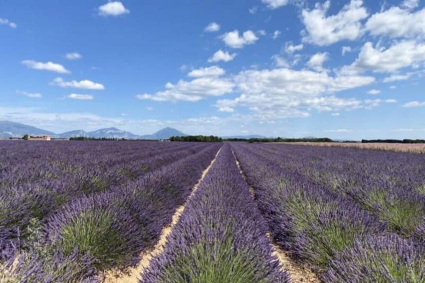 04b6 : Beau Studio Dans Un Mas Provençal - Piscine - foto 18