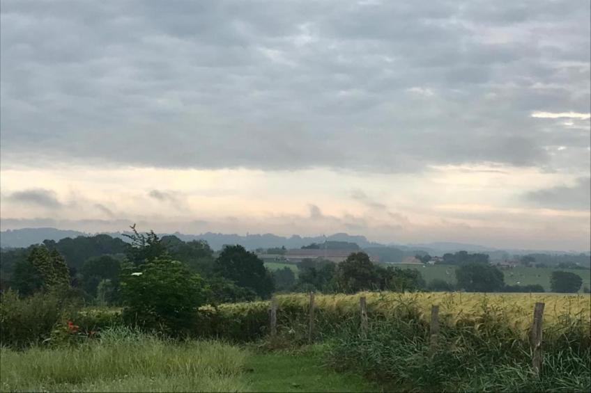 Les Tropiques - foto 31