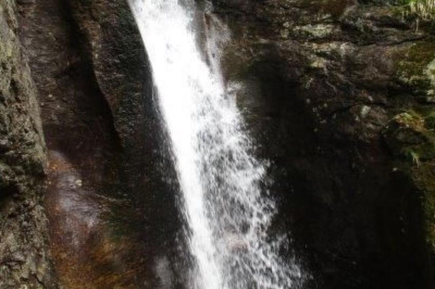 in Haschaberg mit Sonniger Terrasse - foto 44