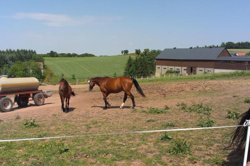 Ferienwohznung Huhle - foto 8