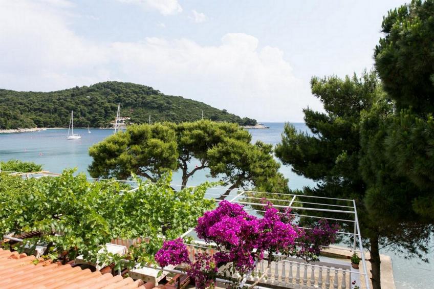 Apartments Franka Saplunara-One-Bedroom Apartment with Terrace and Sea View No1 - foto 5