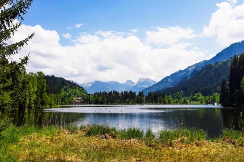 Haus Leßner TOP 1 - foto 24