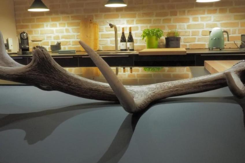 Exklusives Ferienhaus mit Terrasse und Garten - foto 6