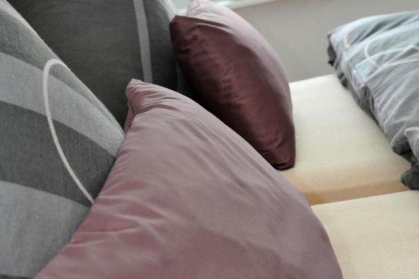 in Feldmannshof mit Grill und Garten - foto 29