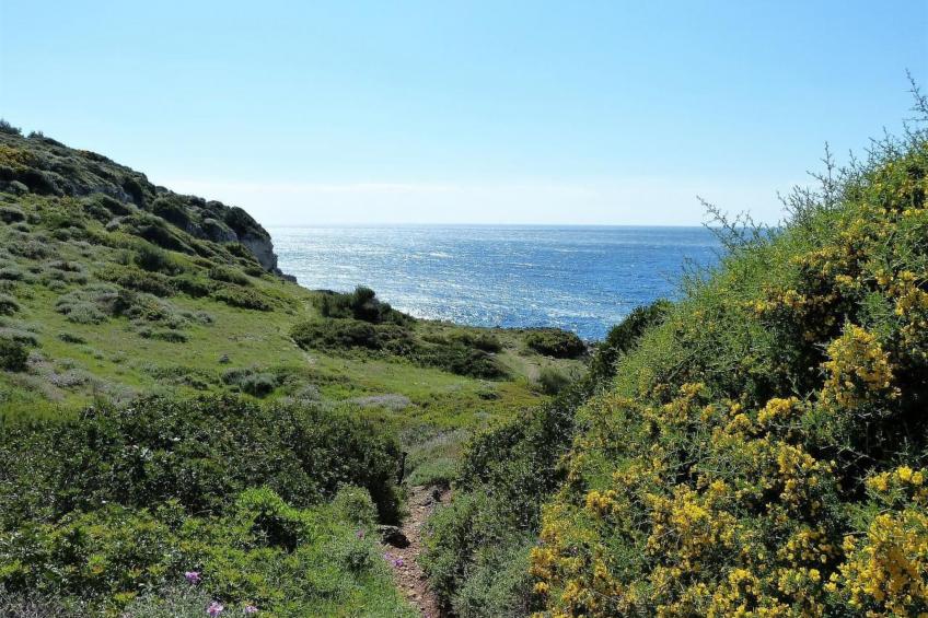 Villa Lona - foto 55