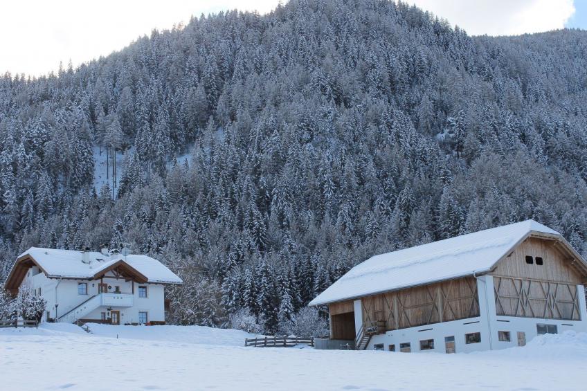 Gemütliche Ferienwohnung für vier Personen