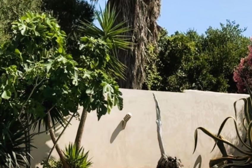 Tarabucetta - foto 26