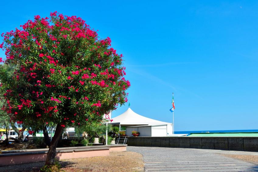 La Bella Vita Marina Beach by Holiday World - foto 22