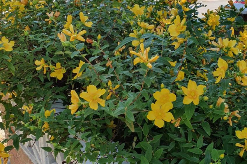 Schönes Haus in Orpington - foto 34