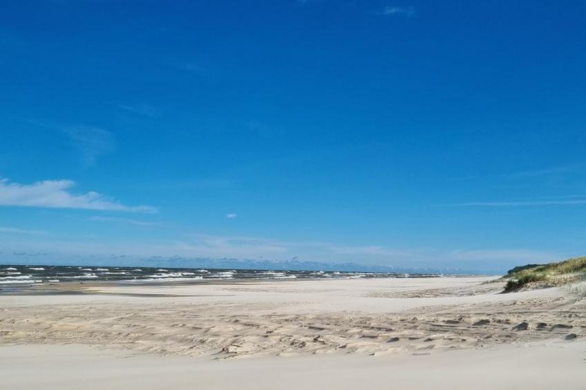 Lublewo21 Ferienhäuser - foto 38