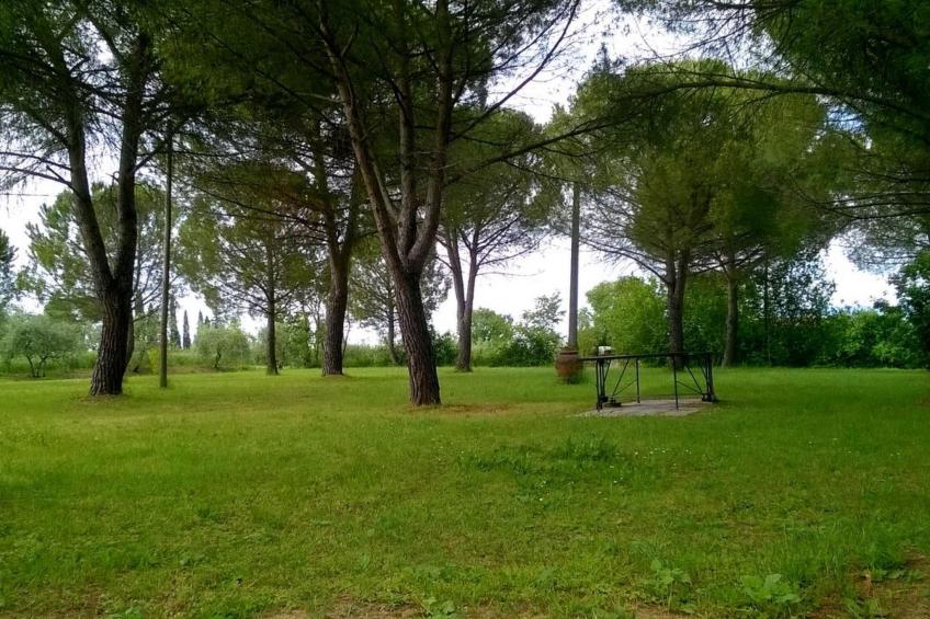 Haus in Marciano mit privatem Parkplatz - foto 12