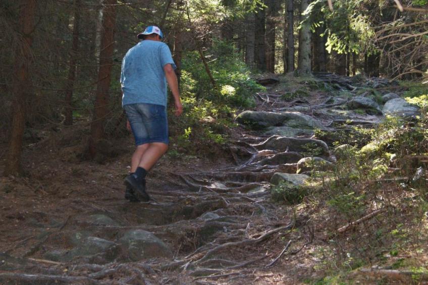 in natürlicher Umgebung - foto 35