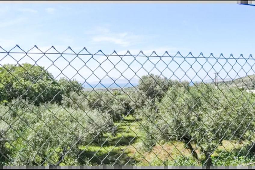 Haus in Privatgeländ - foto 5