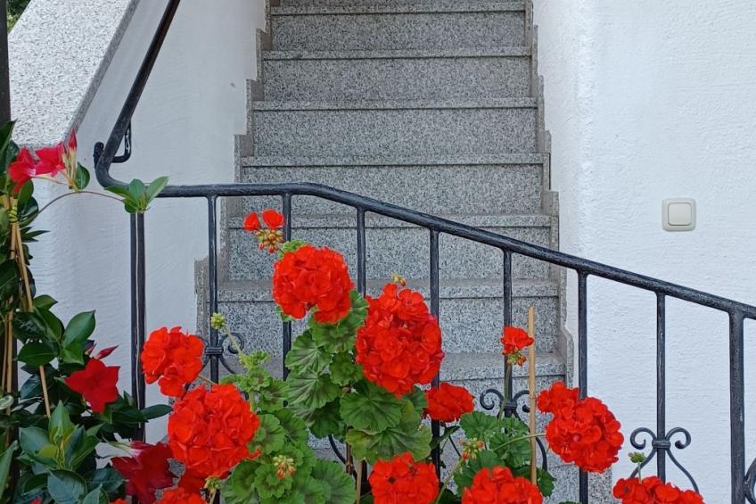 Haus Heistracher - foto 12