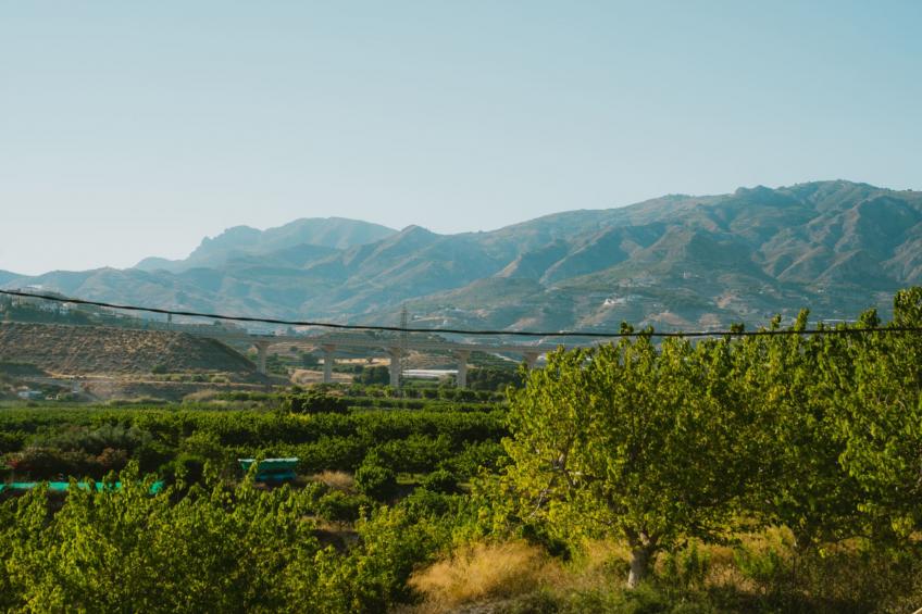Casa Julia Costa Tropical - Ländliches Haus an der tropischen Küste mit Salzpoo - foto 10