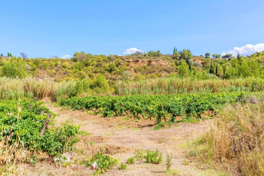 Villa avec piscine - foto 27
