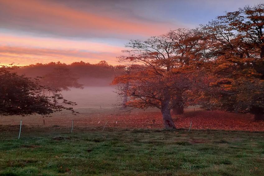 Zuckerbauernhof Weideblick - foto 35