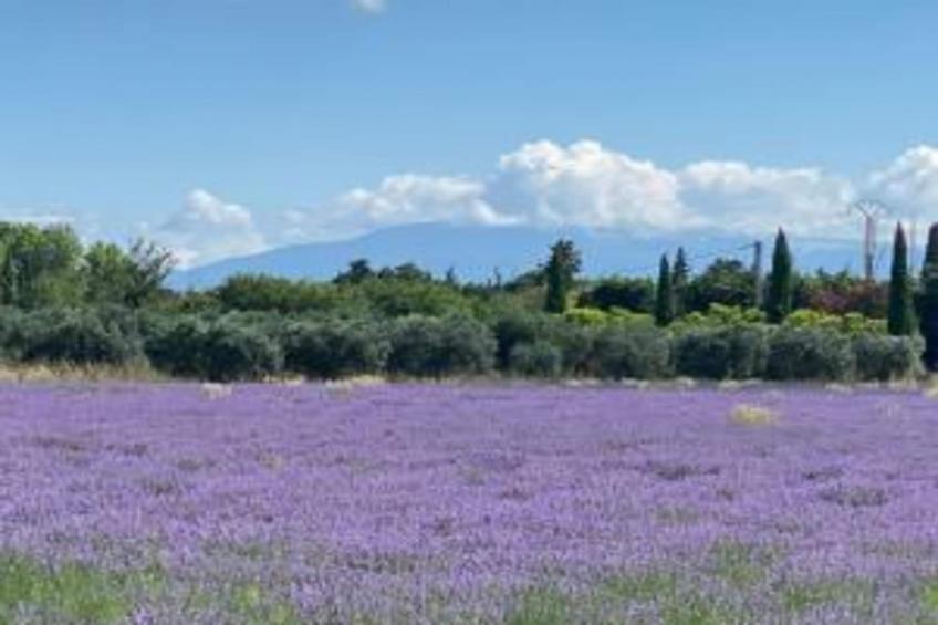 Le Renard et la Belette - foto 30