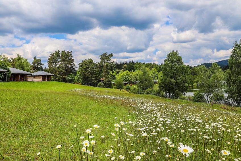 Le Domaine des MonÃ©diÃ¨res - Chalet 3 piÃ¨ces 6 personnes vue Lac - foto 34