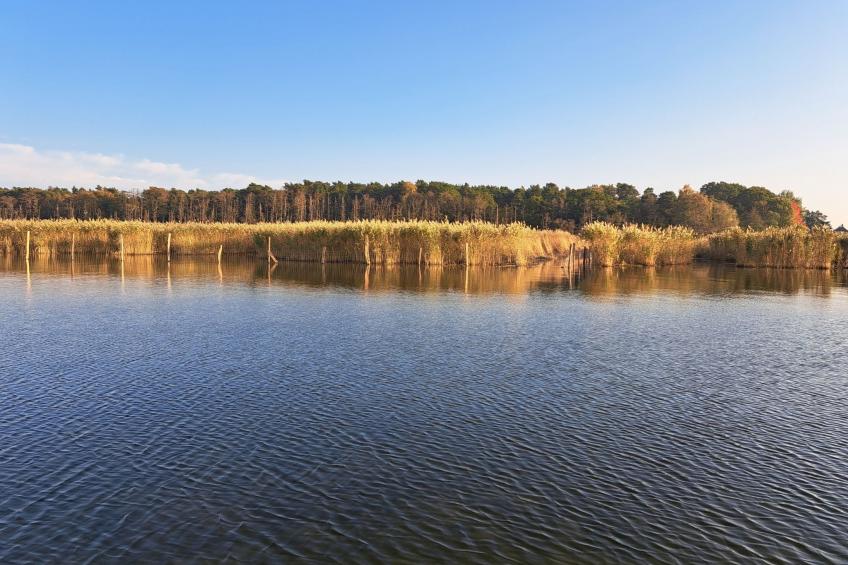 mit Terrasse mitten im Grünen - foto 18