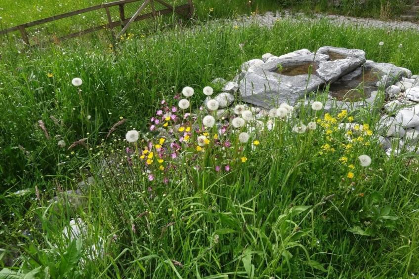 Haus am Sternsberg - foto 19