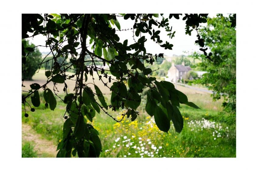 Domäne mit Terrasse - foto 23