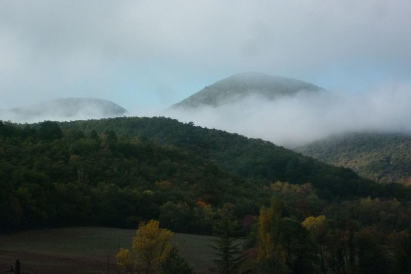 Domäne auf dem Bauernhof - foto 28
