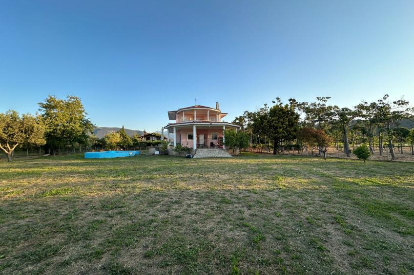 Tanjas Paradise - foto 3