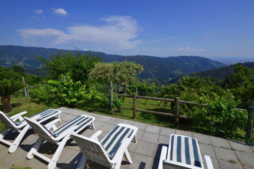 Villa Medicina - foto 34