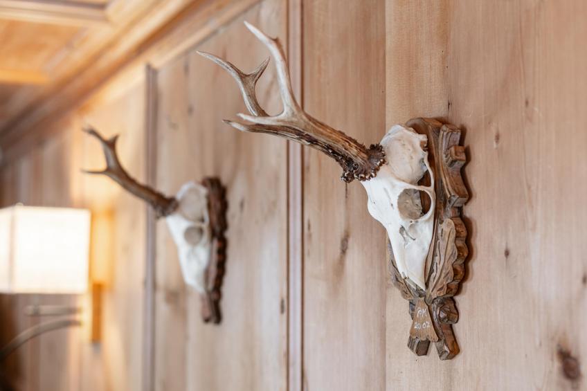 Hacklerhof Top 1 - foto 35