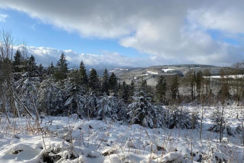 Wissinghausen - foto 24