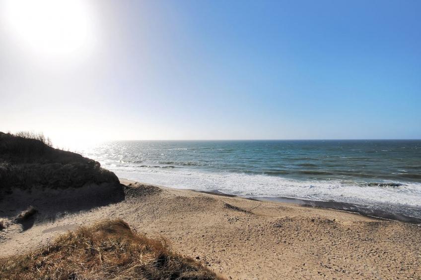 "Elisa" - 1.2km from the sea in NW Jutland - foto 3