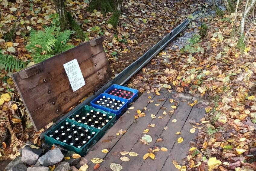 51981 - foto 36