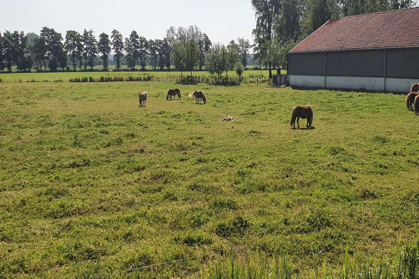 Landelijk Utrecht - foto 35