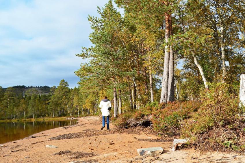 88205 1. ETG, ØVRE BYGG - foto 41