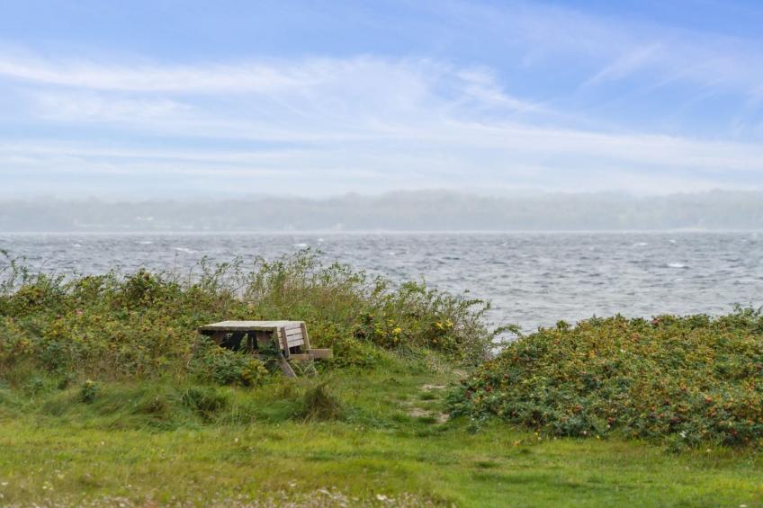 "Elisej" - 100m from the sea in Funen - foto 24