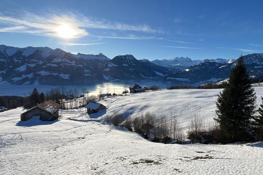 Sunny retreat - foto 20