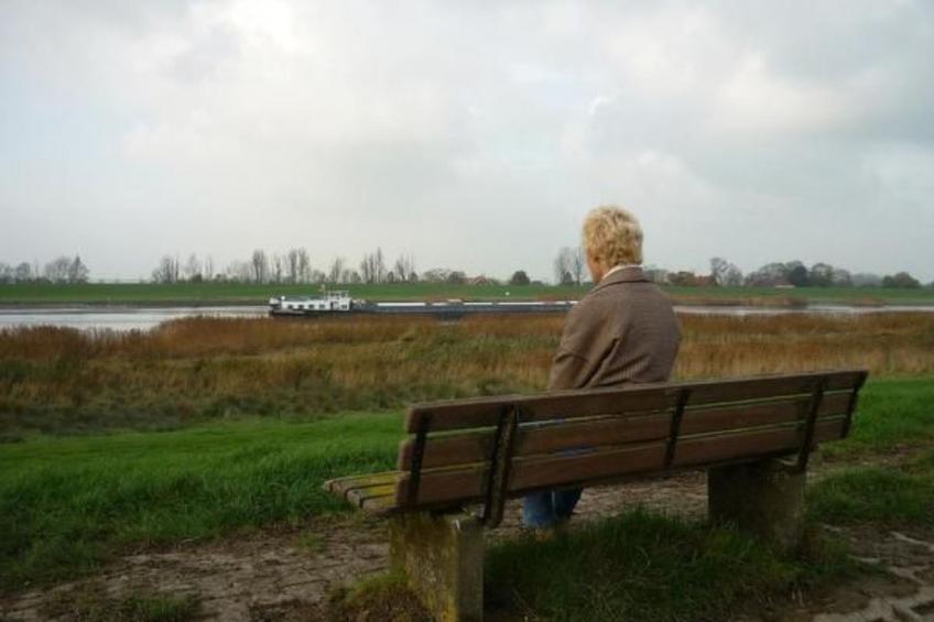 Haus Am Emsdeich - foto 16