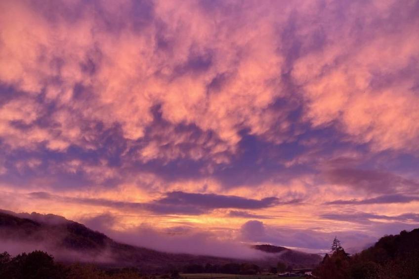 The Bakers Hut - foto 12